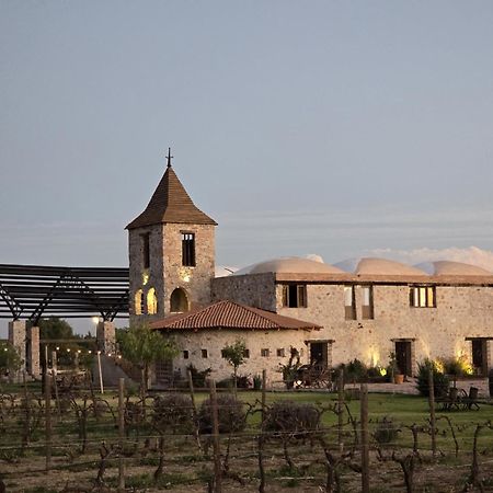 Hotel De Tierra Vinedo Y Spa - Aeropuerto Queretaro Purisima de Cubos Ngoại thất bức ảnh