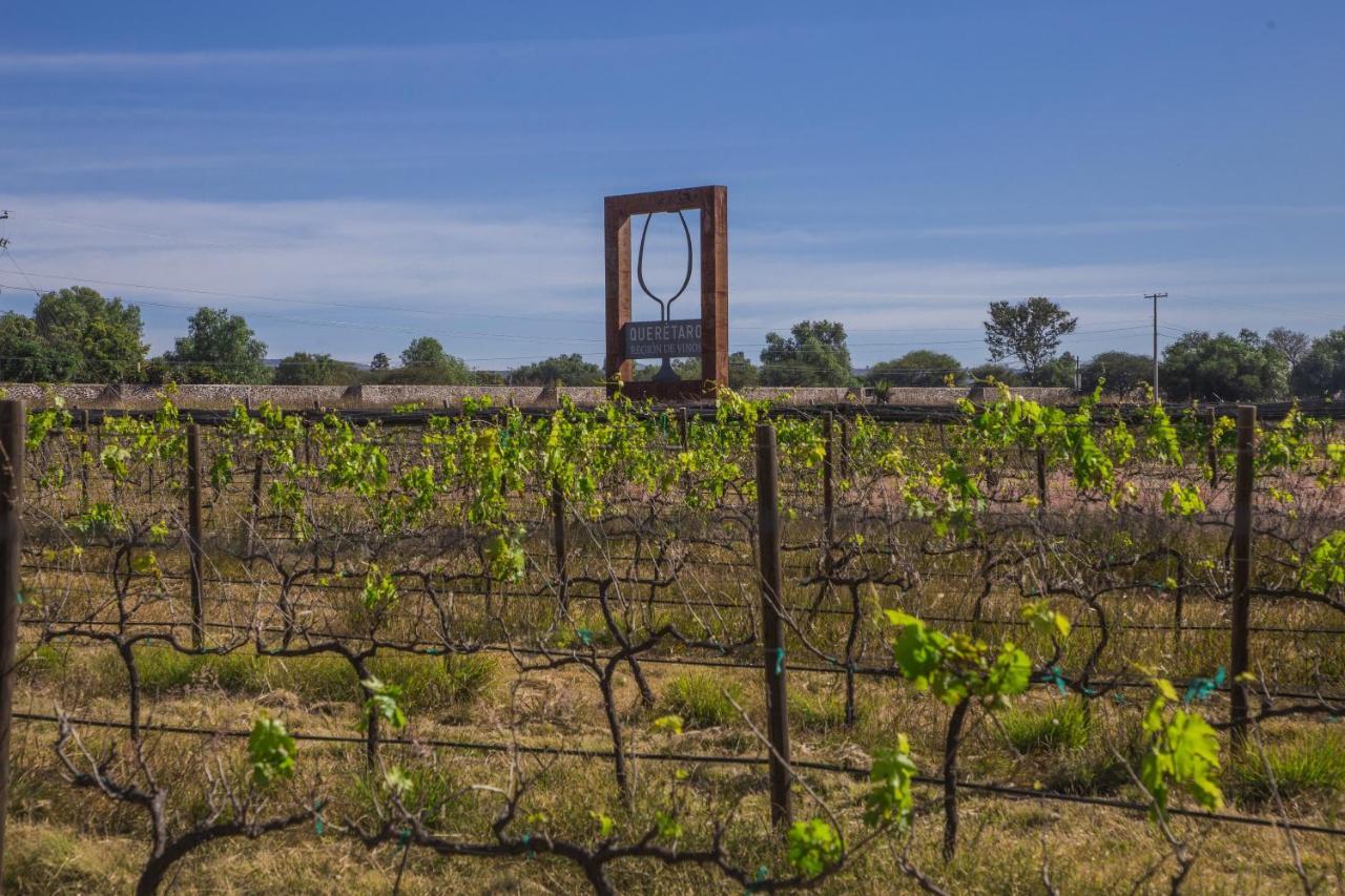 Hotel De Tierra Vinedo Y Spa - Aeropuerto Queretaro Purisima de Cubos Ngoại thất bức ảnh